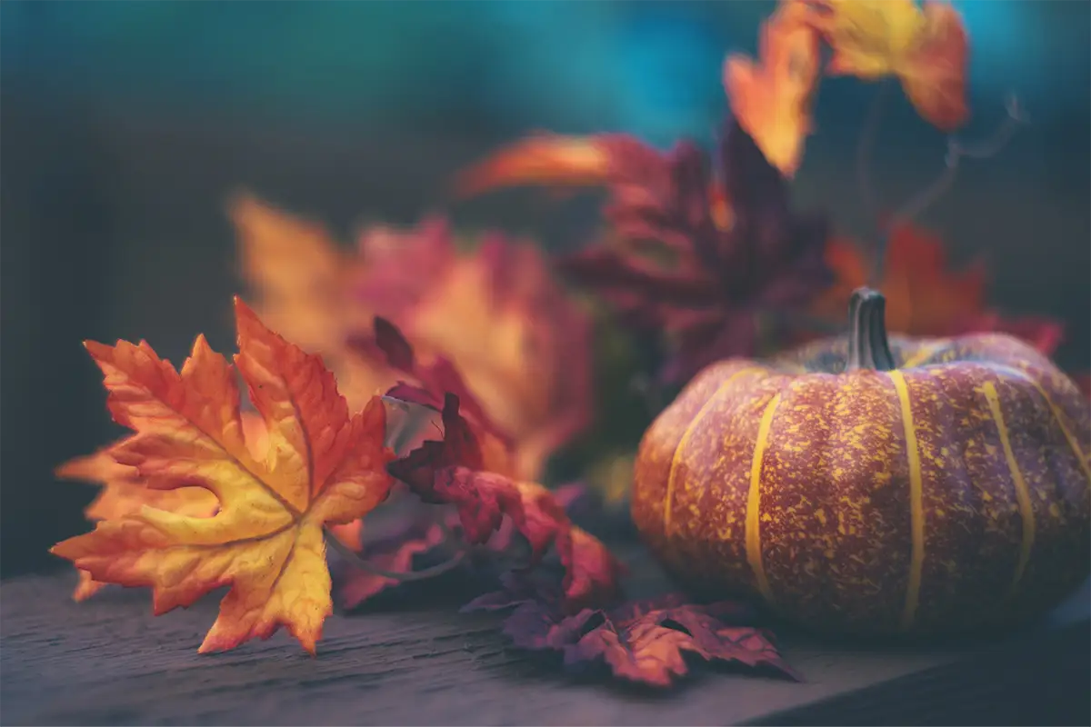 Everything Pumpkin!